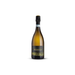 PROSECCO DOC TREVISO VINO SPUMANTE EXTRA DRY MILLESIMATO
