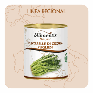 APULIAN CHICORY PUNTARELLE